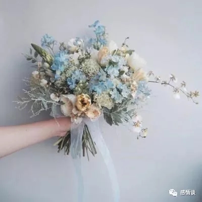威廉体育平台